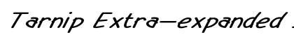 Tarnip Extra-expanded Italic preview