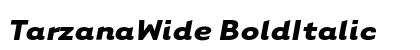 TarzanaWide BoldItalic Preview