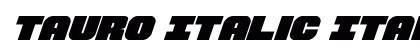 Tauro Italic Italic preview