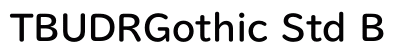 TBUDRGothic Std B preview