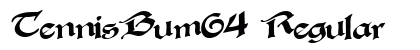 TennisBum64 Regular Preview