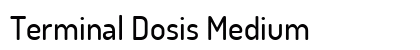 Terminal Dosis Medium preview