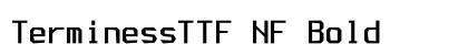 TerminessTTF NF Bold preview