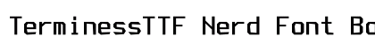 TerminessTTF Nerd Font Bold preview