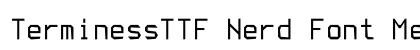 TerminessTTF Nerd Font Medium preview