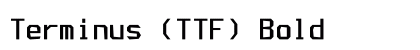 Terminus (TTF) Bold preview