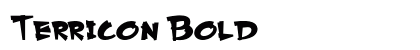 Terricon Bold Preview