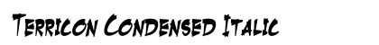 Terricon Condensed Italic Preview