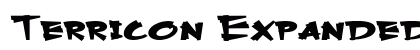 Terricon Expanded Bold preview