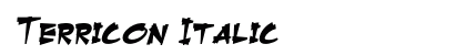 Terricon Italic Preview