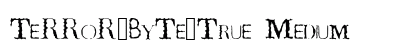 TeRRoR_ByTe_True Medium preview