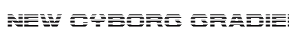New Cyborg Gradient Regular preview