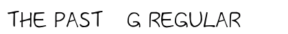 The Past__G Regular preview