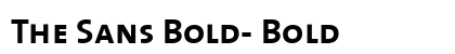 The Sans Bold- Bold Preview