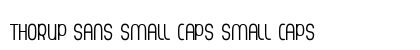 Thorup Sans Small Caps Small Caps preview