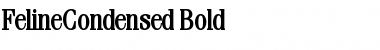 FelineCondensed Bold Font