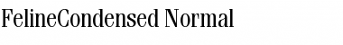 FelineCondensed Normal Font