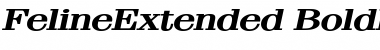 FelineExtended Font