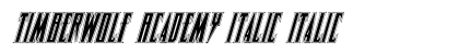 Timberwolf Academy Italic Italic preview