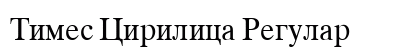 Times Cirilica Regular preview