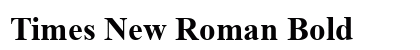 Times New Roman Bold preview