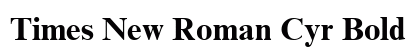 Times New Roman Cyr Bold preview