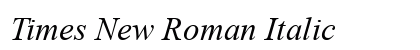 Times New Roman Italic Preview