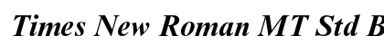Times New Roman MT Std Bold Italic preview