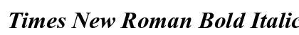 Times New Roman Bold Italic Preview