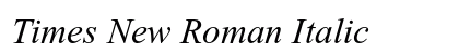 Times New Roman Italic Preview