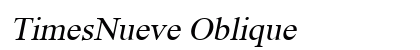 TimesNueve Oblique preview