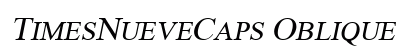 TimesNueveCaps Oblique preview