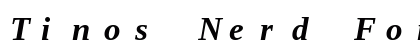 Tinos Nerd Font Mono Bold Italic Preview
