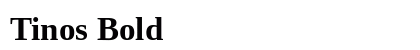Tinos Bold preview