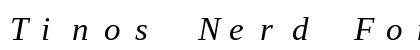 Tinos Nerd Font Mono Italic Preview