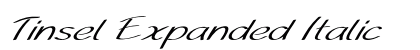 Tinsel Expanded Italic Preview