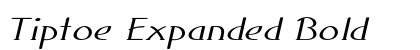 Tiptoe Expanded Bold preview