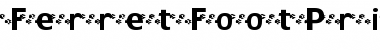 FerretFootPrints Font