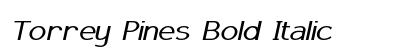 Torrey Pines Bold Italic Preview