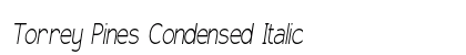 Torrey Pines Condensed Italic Preview