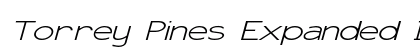 Torrey Pines Expanded Italic Preview