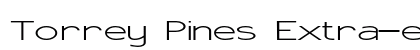Torrey Pines Extra-expanded Regular Preview