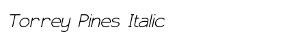 Torrey Pines Italic Preview