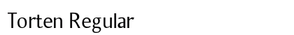 Torten Regular Preview