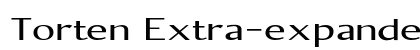 Torten Extra-expanded Regular Preview