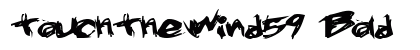 TouchTheWind59 Bold preview