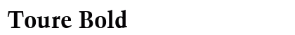 Toure Bold preview