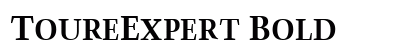 ToureExpert Bold preview