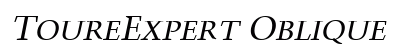 ToureExpert Oblique Preview