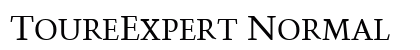ToureExpert Normal Preview